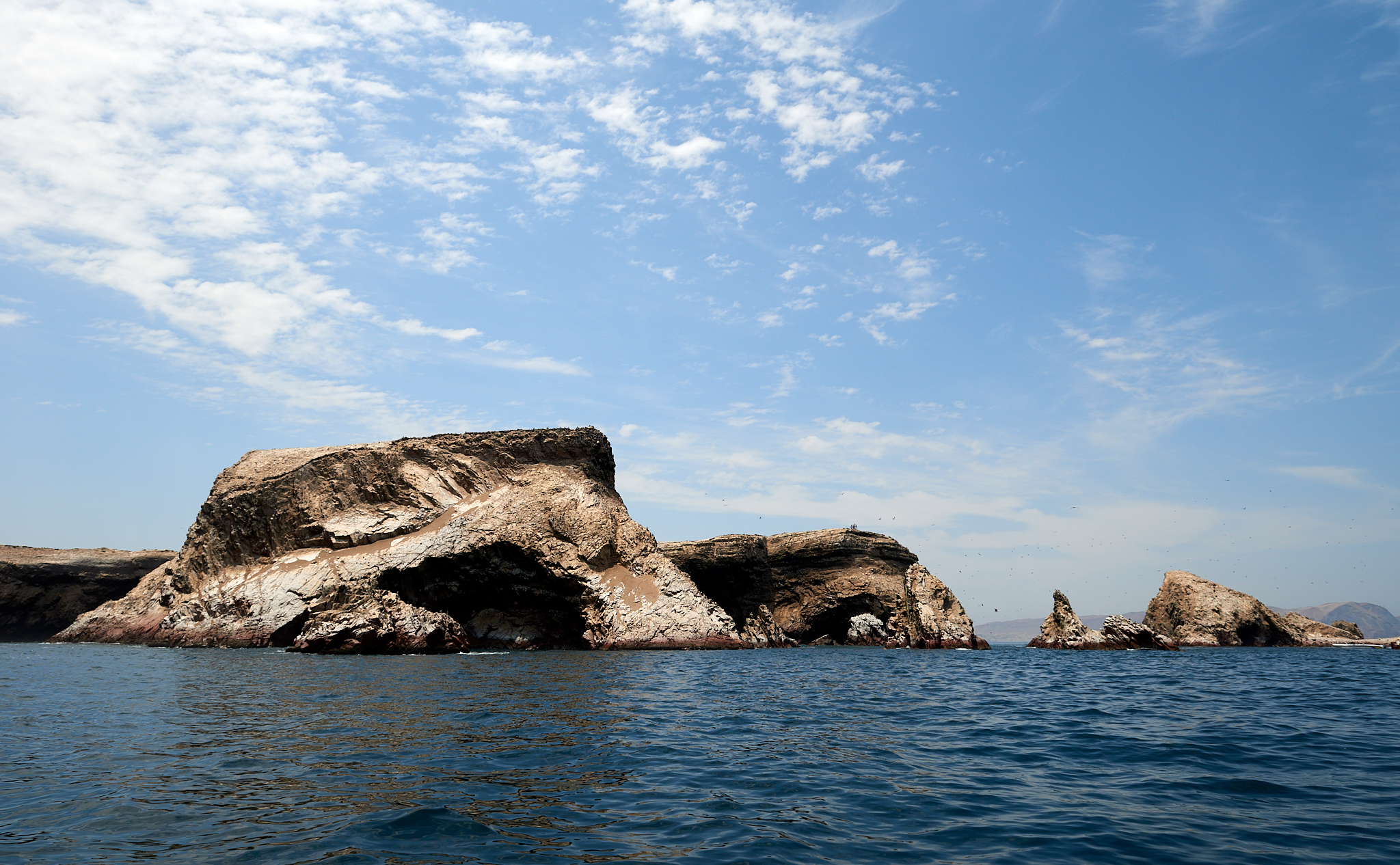 20200304 195 [페루] 바예스타섬